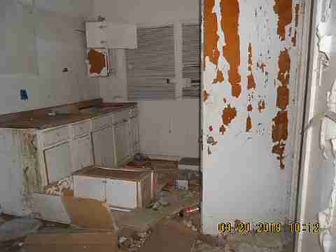 18889 Cardoni (10)_m.jpg